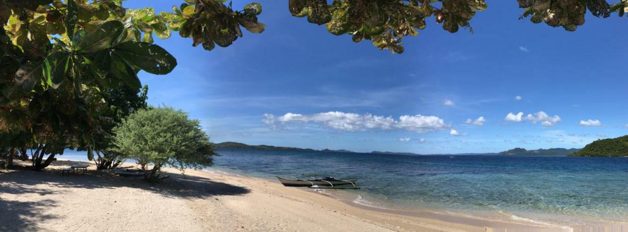 Hostel Busuanga Backpackers Concepcion  Exterior foto